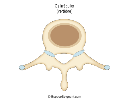 Os irréguliers